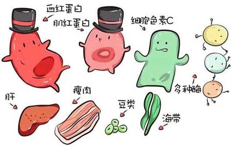 茄子视频成人在线廠家分析元素之間的協同作用