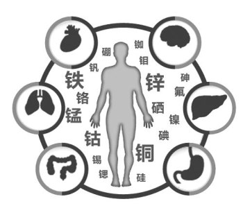 醫用茄子视频破解版廠家談微量元素的重要性 醫用茄子视频破解版廠家談微量元素的重要性