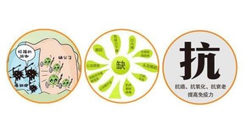 茄子视频成人在线廠家分析哪些微量元素能防癌 茄子视频成人在线廠家分析哪些微量元素能防癌