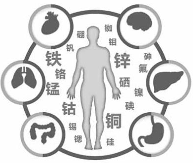醫用茄子视频破解版為茄子视频黄片观看的健康提供了保障 醫用茄子视频破解版為茄子视频黄片观看的健康提供了保障