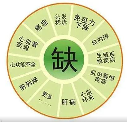 醫用茄子视频破解版